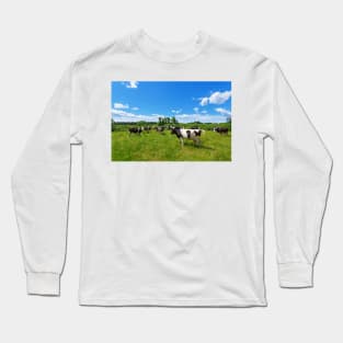 A herd of Holstein Friesian cows grazing on a pasture under blue cloudy sky Long Sleeve T-Shirt